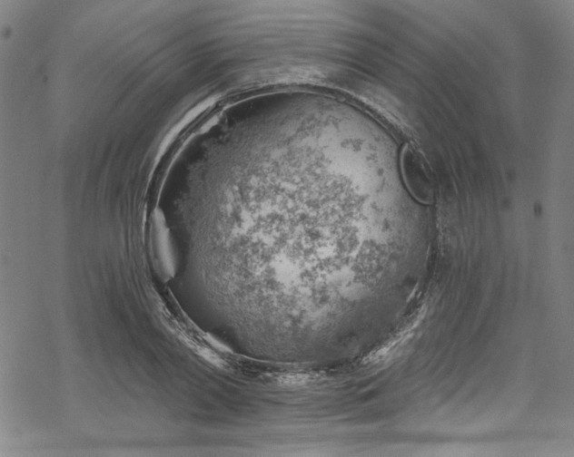 X0000068900790200605081344