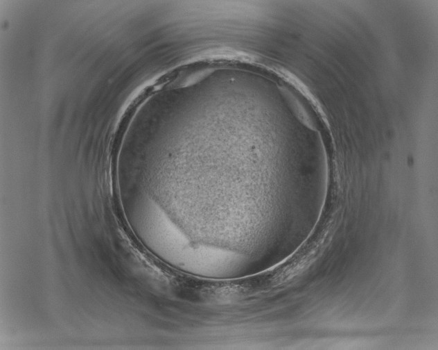 X0000068900791200605081344