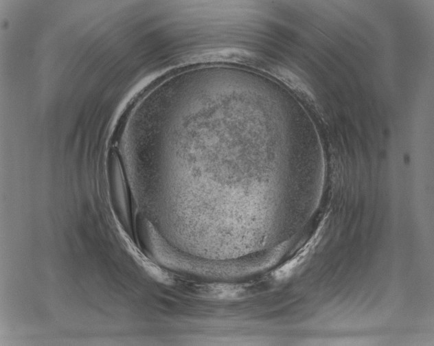 X0000068900792200605081344