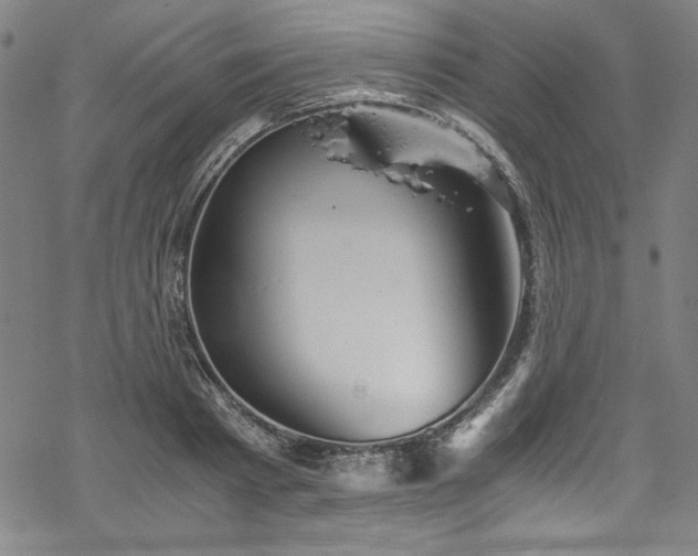 X0000068900793200605081344