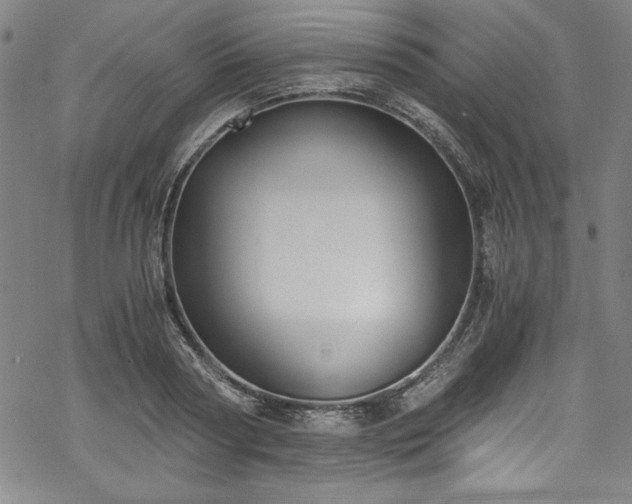 X0000068900794200605081344