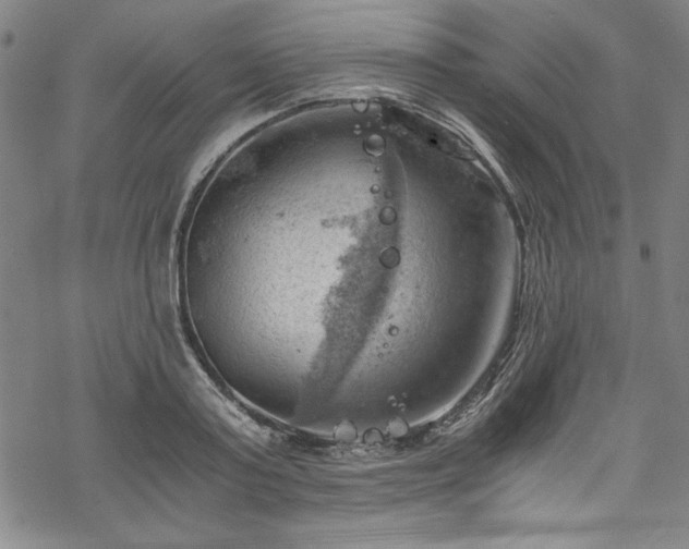 X0000068900795200605081344