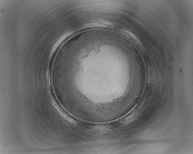 X0000068900796200605081344