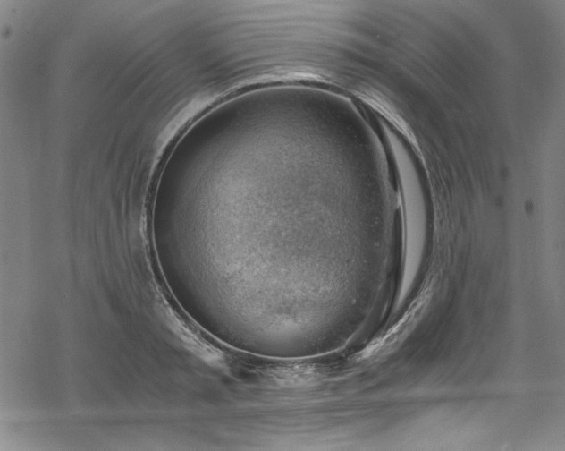 X0000068900797200605081344