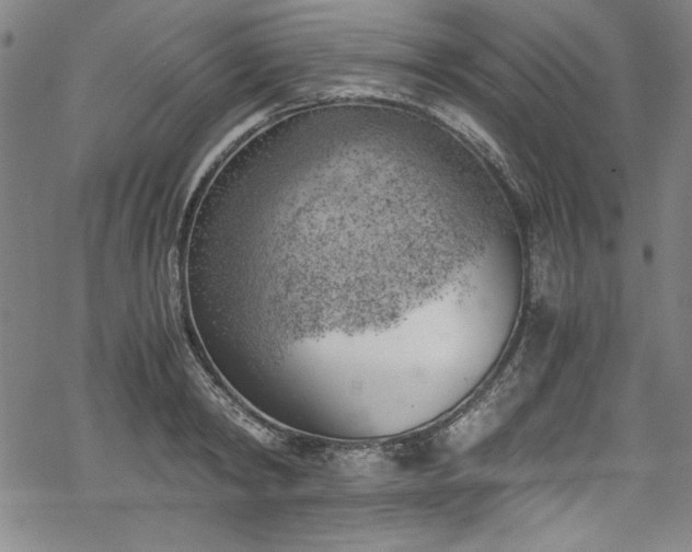 X0000068900798200605081344