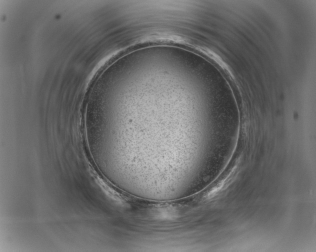 X0000068900799200605081344