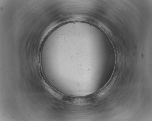 X0000068900800200605081344