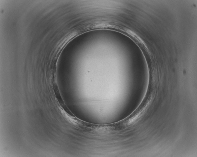 X0000068900801200605081344