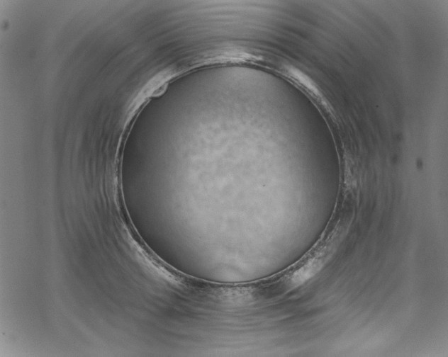 X0000068900802200605081344