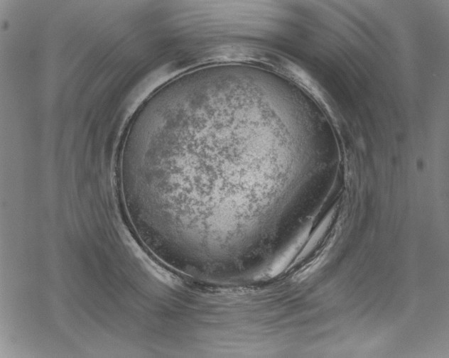 X0000068900803200605081344