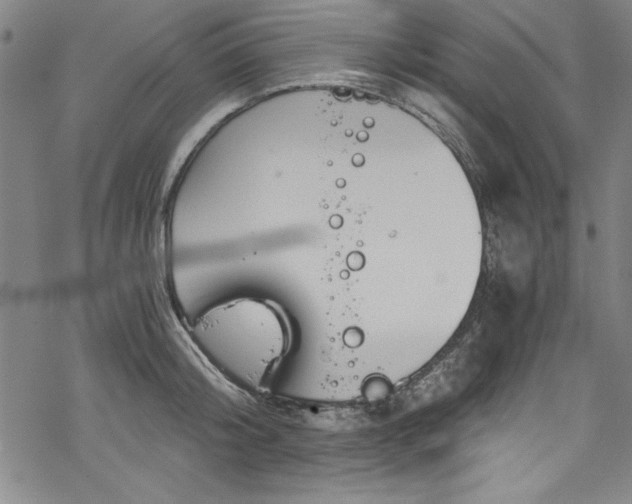 X0000068900804200605081344