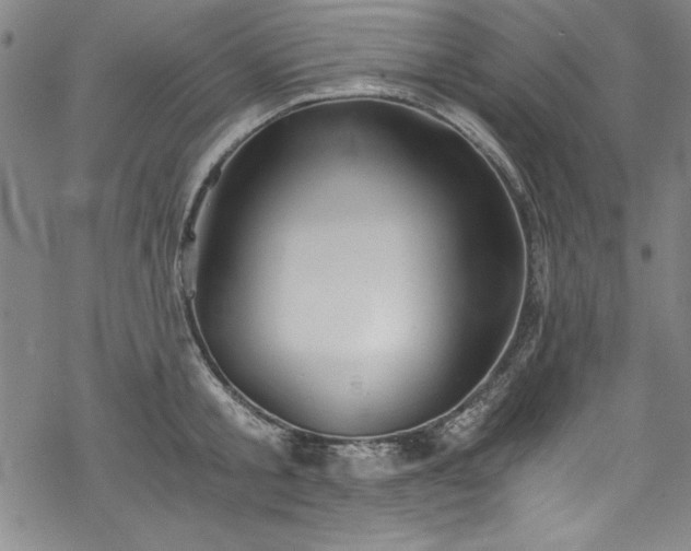 X0000068900805200605081344