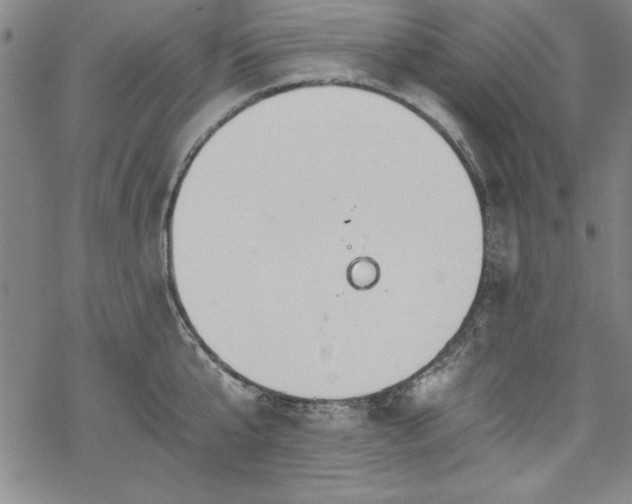 X0000068900807200605081344