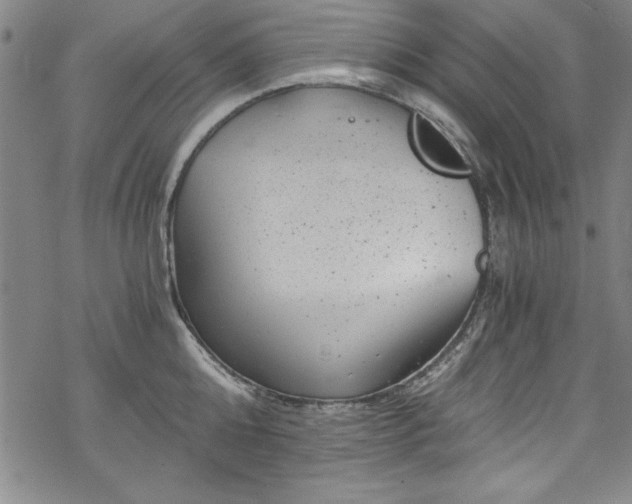 X0000068900808200605081344