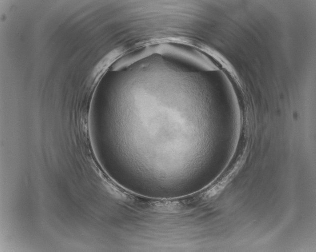 X0000068900809200605081344