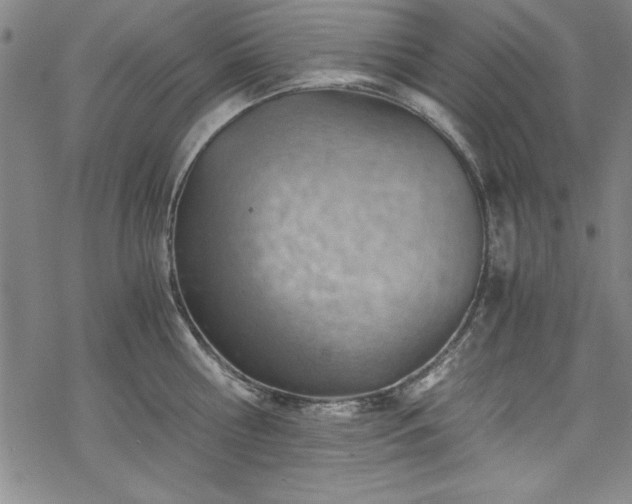 X0000068900810200605081344