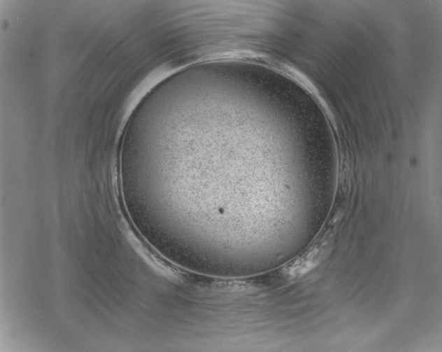 X0000068900811200605081344