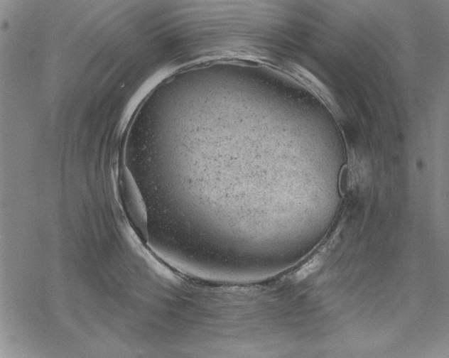 X0000068900812200605081344