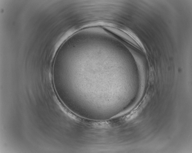 X0000068900813200605081344