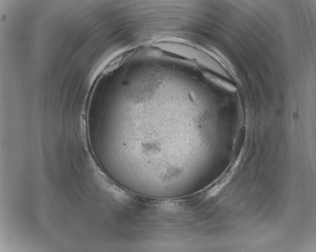 X0000068900814200605081344