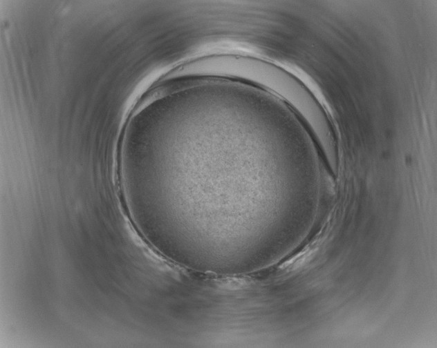 X0000068900815200605081344