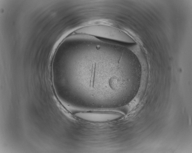 X0000068900816200605081344