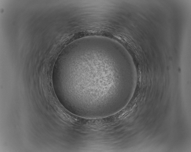 X0000068900817200605081343