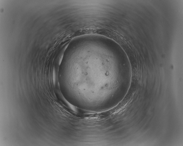 X0000068900818200605081343