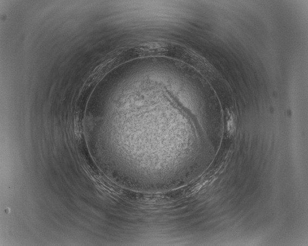 X0000068900819200605081343