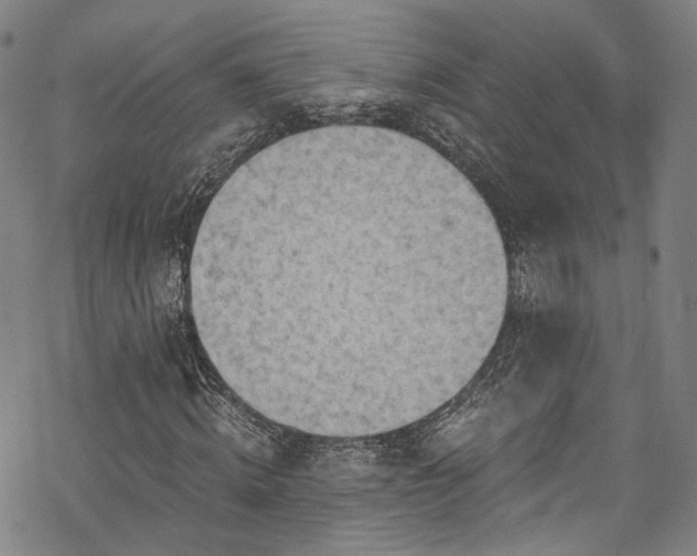 X0000068900820200605081343