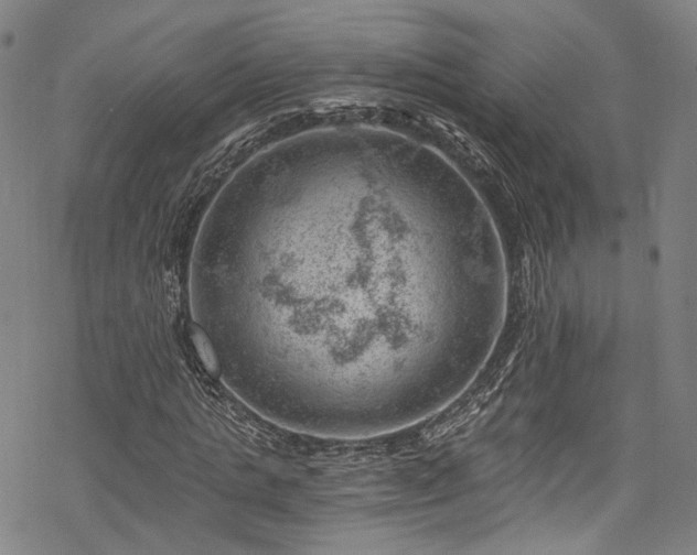 X0000068900821200605081343