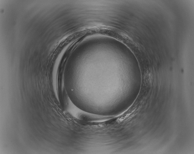 X0000068900822200605081343