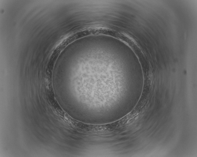 X0000068900823200605081343