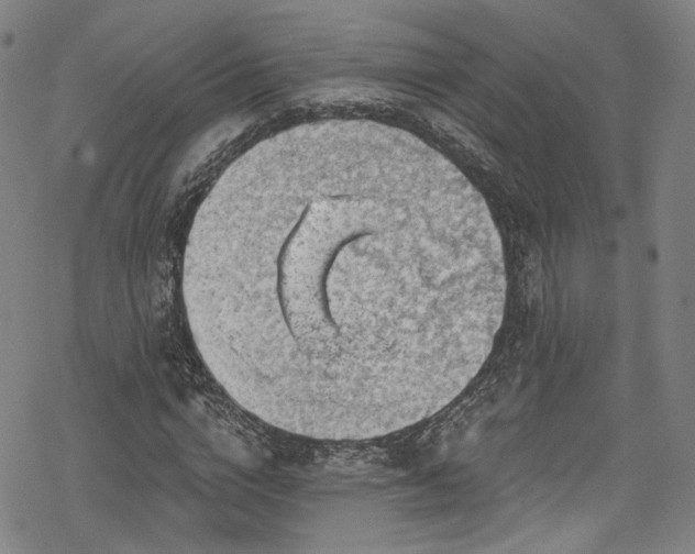 X0000068900824200605081343