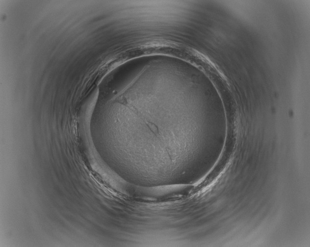 X0000068900825200605081343