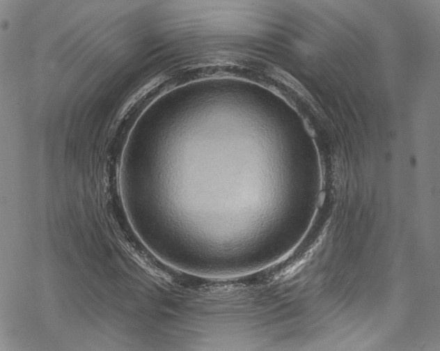 X0000068900826200605081343