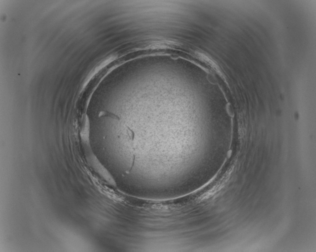 X0000068900827200605081343