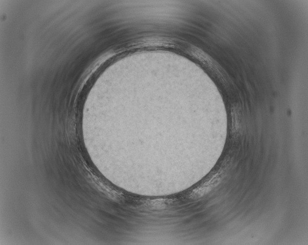 X0000068900828200605081343