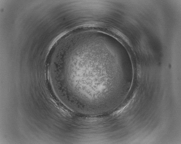 X0000068900829200605081343