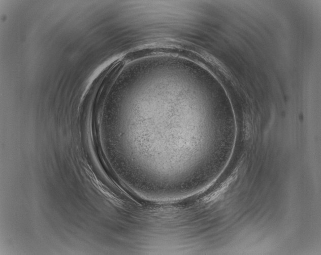 X0000068900830200605081343