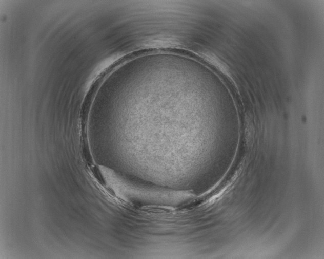 X0000068900831200605081343