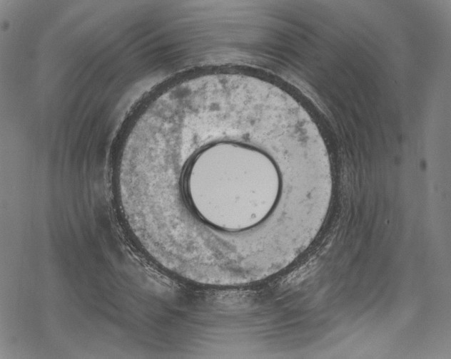 X0000068900832200605081343