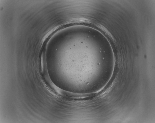 X0000068900834200605081343