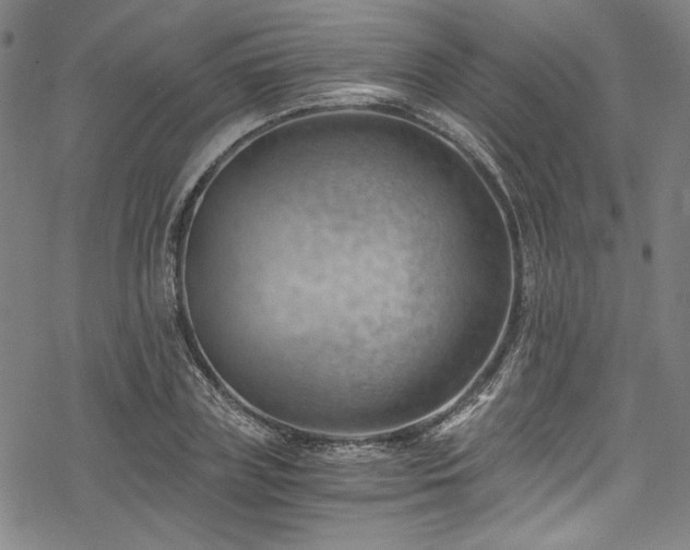 X0000068900835200605081343