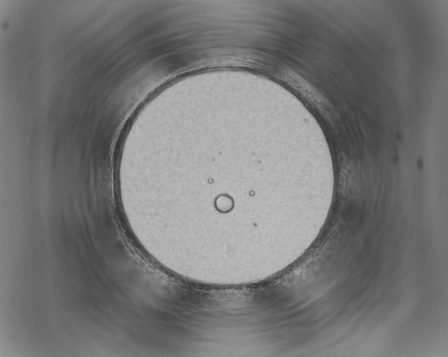 X0000068900836200605081343