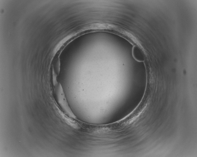 X0000068900837200605081343