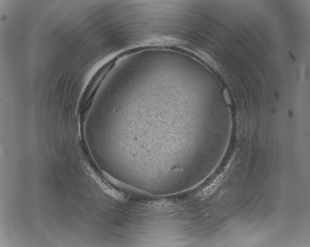 X0000068900838200605081343