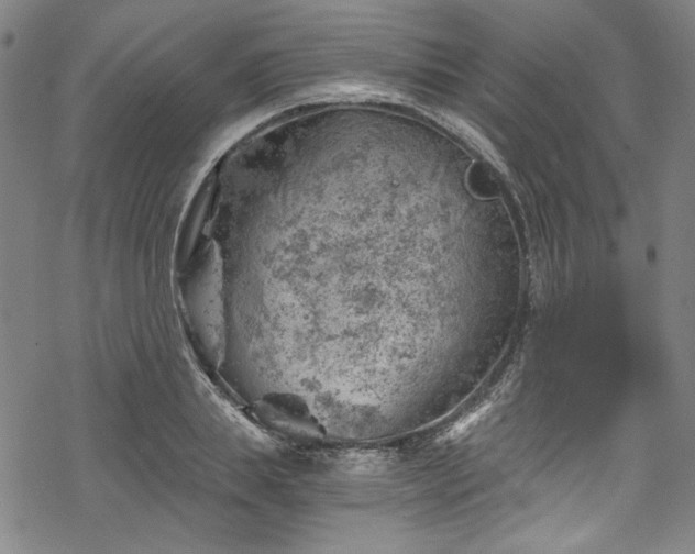 X0000068900839200605081343