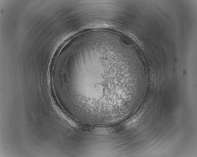 X0000068900840200605081343