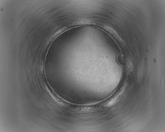 X0000068900841200605081343